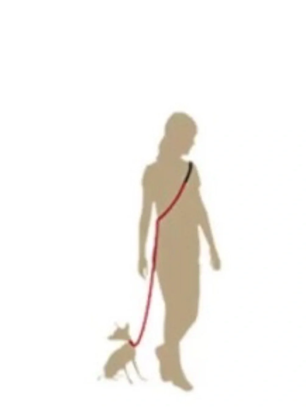 New Heavy Duty Dog Leash with Padded Handle